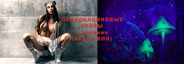стаф Бородино
