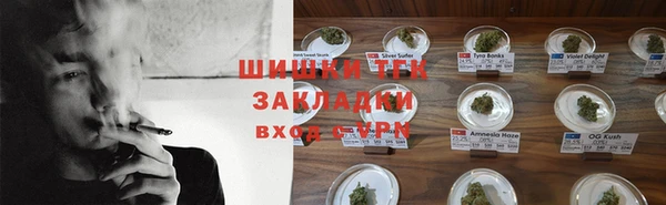 стаф Бородино