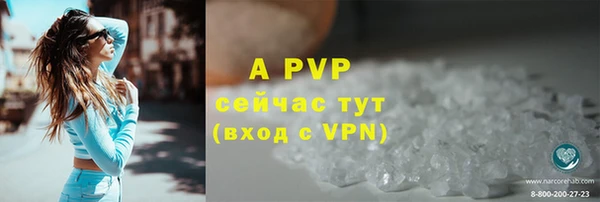 стаф Бородино