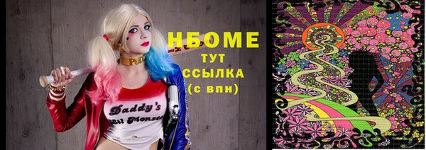 стаф Бородино