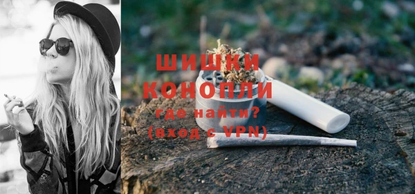 стаф Бородино