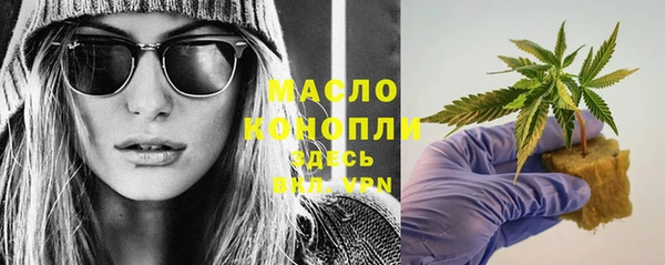стаф Бородино