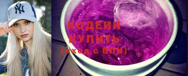 стаф Бородино