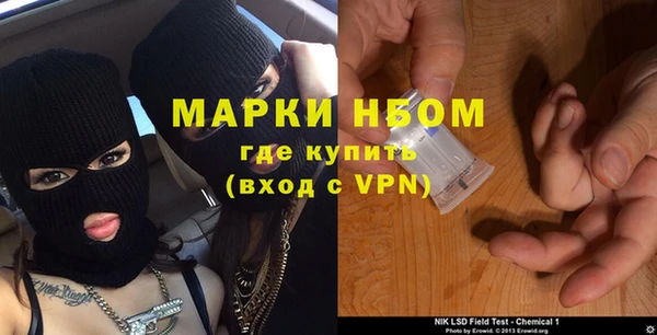 стаф Бородино